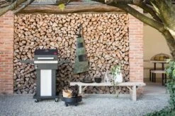 Boretti Totti Houtskoolbarbecue - 60 X 111 Cm - Antraciet -Merkloos Verkoopwinkel 1200x800 19